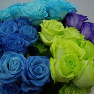 Rosa Teñida - Flores Importadas por Flores Musacco